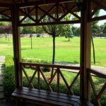 Widok na park z altany